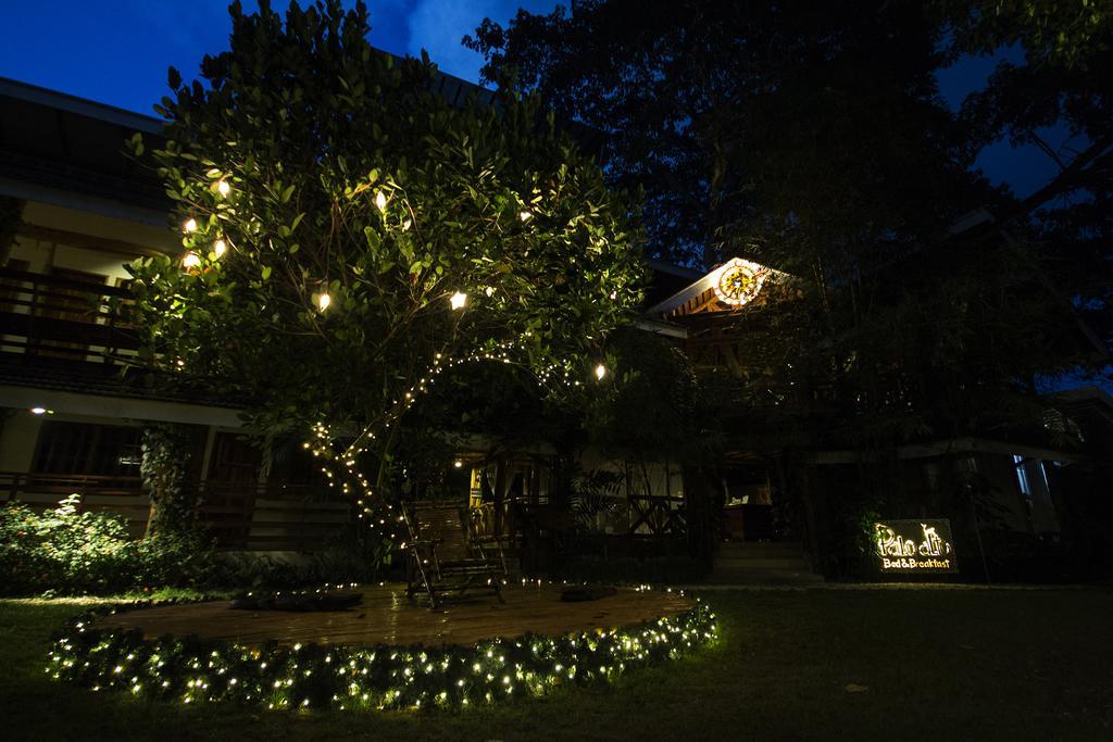 Palo Alto Bed & Breakfast Puerto Princesa Exteriér fotografie