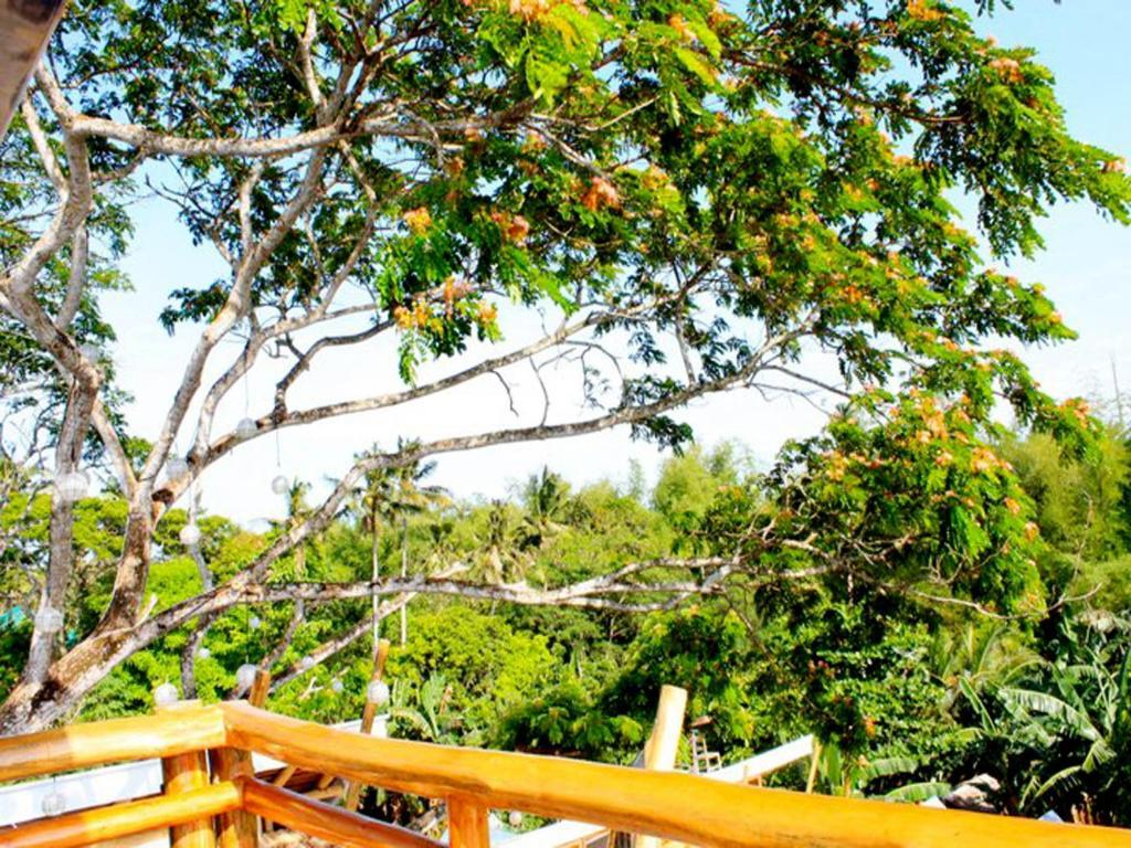 Palo Alto Bed & Breakfast Puerto Princesa Exteriér fotografie